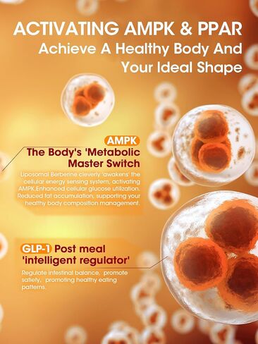 Liposomal Berberine HCL1300mg - Berberine Supplement with Ceylon Cinnamon Activates GLP-1 & AMPK - High Absorption Formula Healthy Weight Support – Non-GMO/Vegan – 30-Day in Kuwait