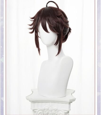شعر مستعار ذيل حصان رمادي قصير الطبقات للرجال الذكور أنيمي Cosplay CoSplay Game Game Costume Fant Dress شعر مستعار مقاوم للحرارة in Kuwait