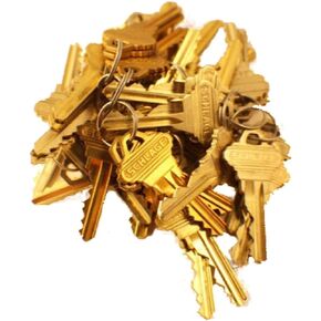 SC1 Factory Precut Keys 20 Pairs