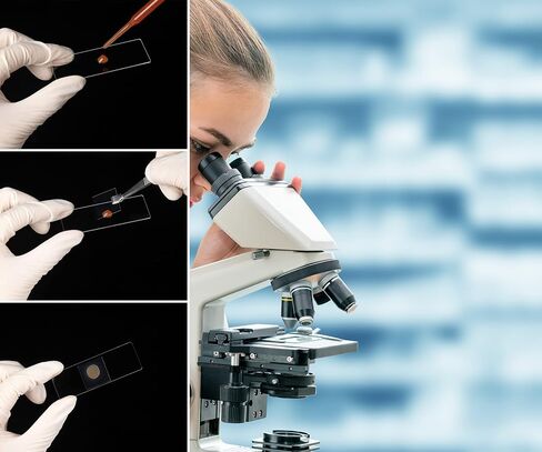 50 pcs Microscope Slides Blank Plain, Plus 100 pcs Coverslips Ultra-Clear Cover Glasses in Saudi Arabia