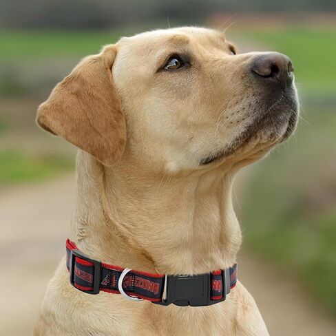 MLB PET Collar Chicago Cubs Dog Collar, Small. Baseball Team Collar for Dogs & Cats. A Shiny & Colorful Dog & Cat Collar Licensed by The MLB in Saudi Arabia