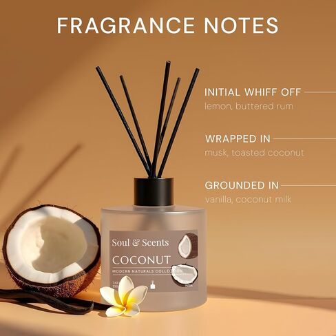 Soul & Scents Reed Diffuser Set - Coffee | 7.43 أوقية زيت معطرة مع 6 عصي الألياف | عطر المنزل طويل الأمد والهواء معطر لغرفة النوم ، الحمام ، المكتب | قطعة هدية وديكور in Saudi Arabia