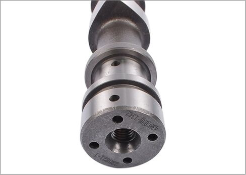 Intake Camshaft Replacement for Land Rover Land Rover Discovery (L550) Rover Range Rover Evoque 2015-2019 LR030366 LR056374 JDE28269 JDE36103 GELUOXI in Saudi Arabia