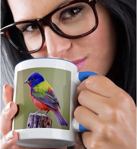3dRose Painted Bunting Male Bird Perched Mug, 11 oz, Blue in Saudi Arabia
