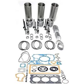 Overhaul Rebuild Kit for Yanmar 3TNE74 Engine B2U-1 Mini Excavator in Saudi Arabia