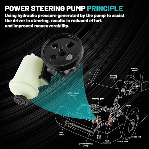 20-312P1 Power Steering Pump with Pulley Fit for Ford F150 04-08,Expedition 03-06,for Lincoln Mark LT 06-08,Navigator 03-06 4.6L 5.4L V8 Automotive Replacement Power Steering Pumps 6L3Z3A674B in Saudi Arabia