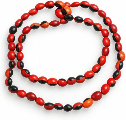 Collar de Peonia, Paeonia Santeria Ifa, Necklace Semillas de Peony Odi Bara Odun in Saudi Arabia
