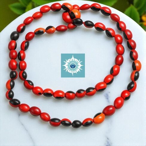 Collar de Peonia, Paeonia Santeria Ifa, Necklace Semillas de Peony Odi Bara Odun in Saudi Arabia