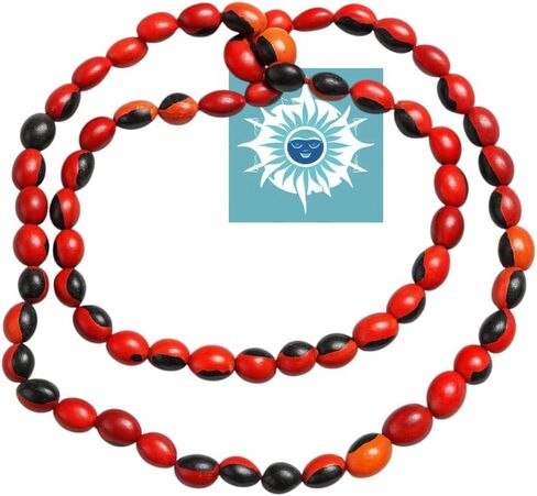 Collar de Peonia, Paeonia Santeria Ifa, Necklace Semillas de Peony Odi Bara Odun in Saudi Arabia