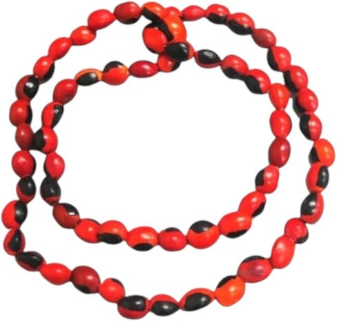 Collar de Peonia, Paeonia Santeria Ifa, Necklace Semillas de Peony Odi Bara Odun in Saudi Arabia