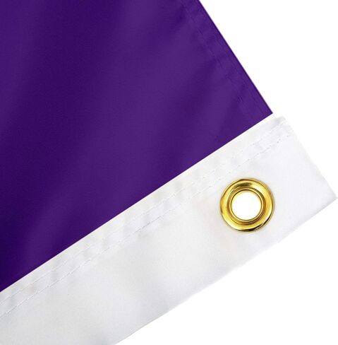 Desert Cactus LSU Flag Tigers Geaux Louisiana State University Flag Banners 100% Polyester Indoor Outdoor 3x5 feet Flags (Style 2) in Saudi Arabia