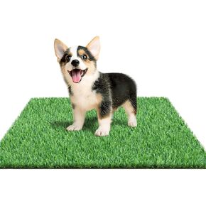30 x 20 inches 2 Pack Fake Grass Pee for Dogs Artificial Grass Rug Pad for Puppy Potty Washable Grass Mat for Pet Training with Drainage Hole in Kuwait
