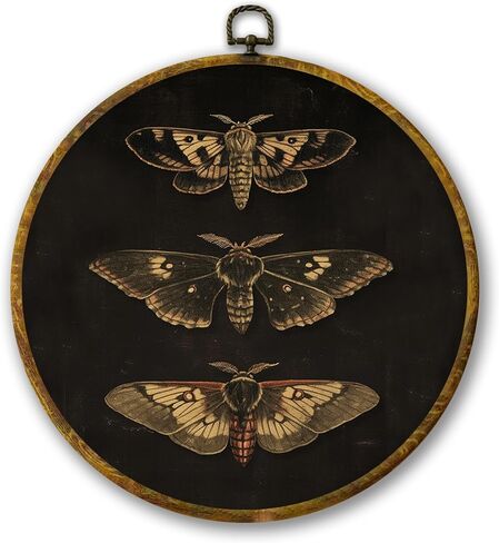 Mcehtle Vintage Gold Butterfly Wall Art Decor, Dark Moody Cottagecore Moth Butterfly Framed Canvas Prints 10x10, Neutral Farmhouse Round Wall Hanging Artwork Decorations for Bedroom Living Room in Kuwait