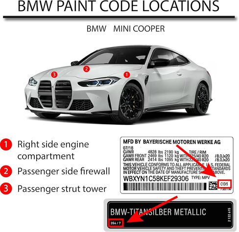 R&E Paint Supply Compatible with BMW C06, Flamenco Red Automotive Paint, Touch-Up Kit in Saudi Arabia