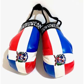 Dominican Boxing gloves flags for car accessories Dominican Republic flag DR hanging Rearview mirror design (1)