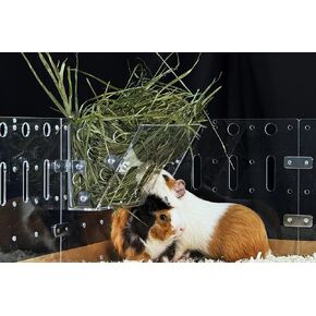 ™ Hay Feeder - جهاز تغذية القش النهائي للحيوانات الأليفة الصغيرة مثل خنازير غينيا والأرانب والشنشيلا. تم تصميمه وتصنيعه بواسطة مالكين متمرسين جربوا كل شيء هناك - حصريًا في Guinea Loft