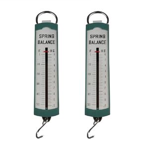 P11106 Pack of 2 - Hanging Spring Scale (0-3000g, 30N)