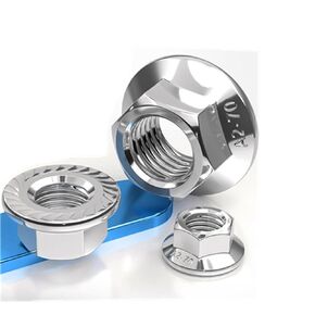 M6-1(10PCS) Serrated Flange Hex Nuts, Hexagon Flange Nuts 304 Stainless Steel 18-8, Bright Finish, Full Thread, DIN6923