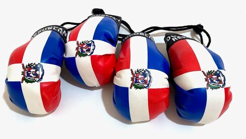 Dominican Boxing gloves flags for car accessories Dominican Republic flag DR hanging Rearview mirror design (1) in Saudi Arabia