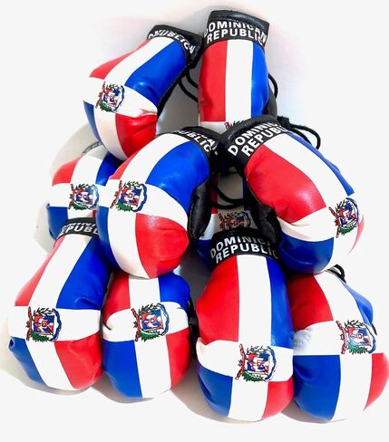 Dominican Boxing gloves flags for car accessories Dominican Republic flag DR hanging Rearview mirror design (1) in Saudi Arabia