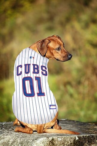 جيرسي MLB للكلاب والقطط - جيرسي البيسبول Chicago Cubs للحيوانات الأليفة، مقاس متوسط. in Saudi Arabia