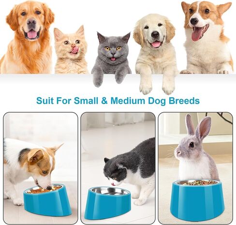 Tilted Angle Dog Bowl, 15° Slanted Stainless Steel Dog Cat Food Bowl,Non-Slip & Non-Spill Pet Feeder with Elevated Detachable Melamine Stand,Easy to Get Food Dog Dish,L/2.5 Cup Grass Blue in Saudi Arabia