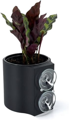 | The original Suction Planter | Hangs on tile, window, drywall, fridge, etc. | Self-watering and draining | Holds 4" nursery pot | 3D printed (Matte Black, 3 Pack) in Saudi Arabia