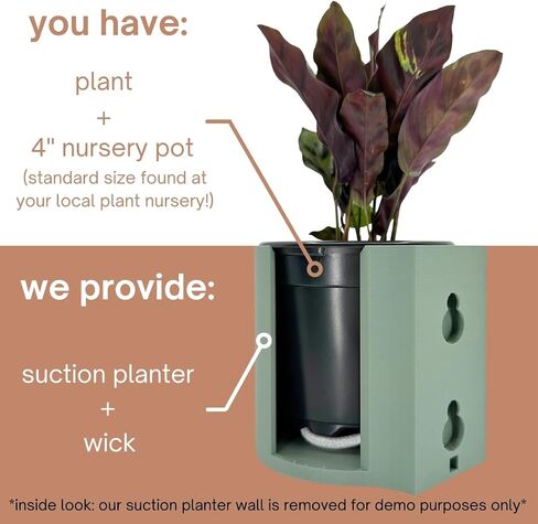 | The original Suction Planter | Hangs on tile, window, drywall, fridge, etc. | Self-watering and draining | Holds 4" nursery pot | 3D printed (Matte Black, 3 Pack) in Saudi Arabia