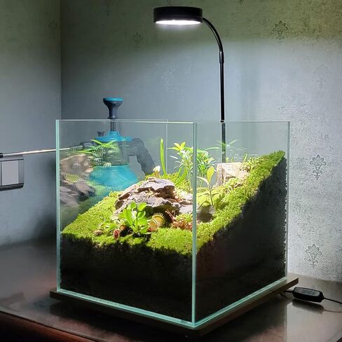 AREPK Aquarium & Terrarium Light Full Spectrum LED, Timer Auto On/Off, for Under 7 Gallon Fish Tanks, Betta Tanks, Moss, Succulents, Carnivorous Plants, Miniature Landscapes in Saudi Arabia