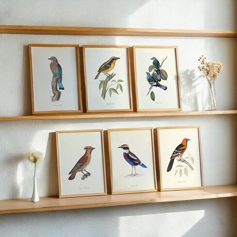 Vintage Bird Art Prints - Wall Decor - Audubon Birds - Bird Lover Gift - Giclee Printed Artwork - Set of 9 - Unframed (5x7) in Saudi Arabia