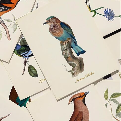 مطبوعات فنية لطيور عتيقة - ديكور حائط - طيور أودوبون - هدية لمحبي الطيور - عمل فني مطبوع جيكلي - مجموعة من 6 قطع - غير مؤطرة (8 × 10) in Kuwait