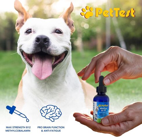 Advocate PetTest Vitamin B12 Liquid Drops (5000 MCG) Supplement with Methylcobalamin (Methyl B12) for Diabetic Pets - Max Absorption B12 to Increase Energy - Vegan Friendly for Dogs and Cats - 4fl oz in Saudi Arabia