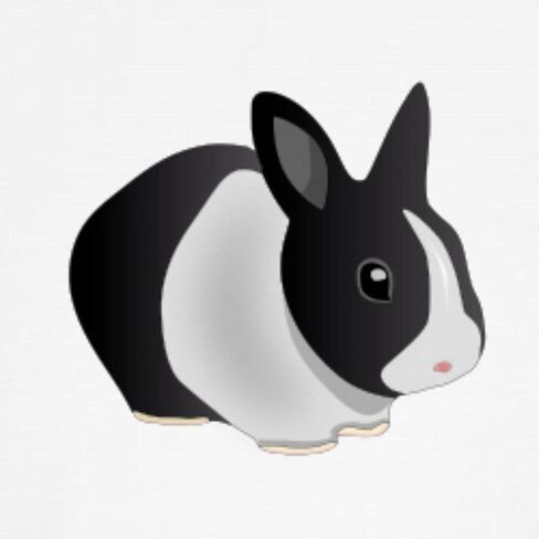 Cafepress الهولندية بالأبيض والأسود البيسبول جيرسي جيرسي كوتون بيسبول جيرسي ، 3/4 قميص الأكمام راجلان in Kuwait
