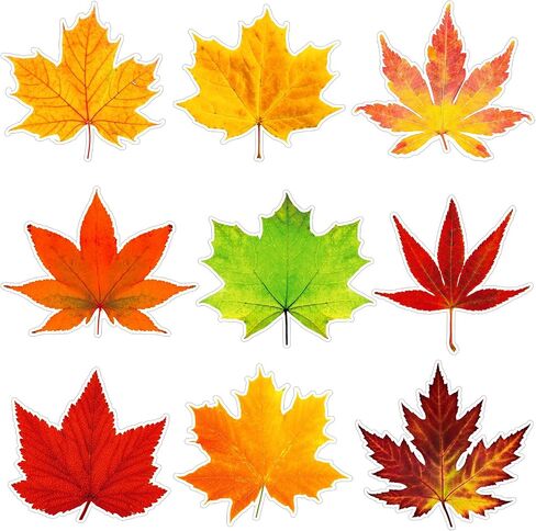 Fall Bulletin Board Decorations Fall Leave Cutout Autumn Thanksgiving Artificial Leaf Cutout Maple Paper Leave with Glue Point Dot for Classroom Bulletin Board Wall Decoration, 3.94 x 3.5 In (135 Pcs) in Saudi Arabia