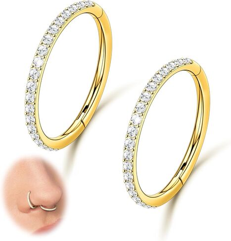 2PCS 20G 18G 16G Nose Ring Cartilage Hoop Earring Stainless Steel 4Colors Choose Hoop Earrings Hinged Segment Rings Septum Hoops Daith Conch Helix Tragus Piercing 6mm/7mm/8mm/9mm/10mm in Saudi Arabia