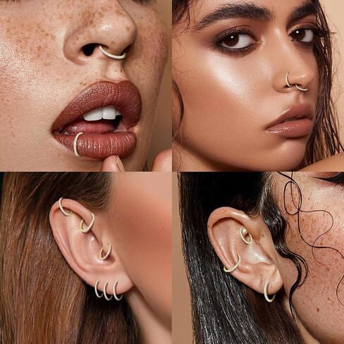 2PCS 20G 18G 16G Nose Ring Cartilage Hoop Earring Stainless Steel 4Colors Choose Hoop Earrings Hinged Segment Rings Septum Hoops Daith Conch Helix Tragus Piercing 6mm/7mm/8mm/9mm/10mm in Saudi Arabia