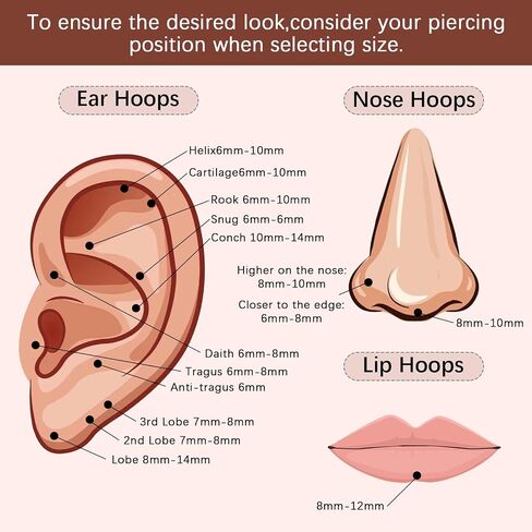 2PCS 20G 18G 16G Nose Ring Cartilage Hoop Earring Stainless Steel 4Colors Choose Hoop Earrings Hinged Segment Rings Septum Hoops Daith Conch Helix Tragus Piercing 6mm/7mm/8mm/9mm/10mm in Saudi Arabia