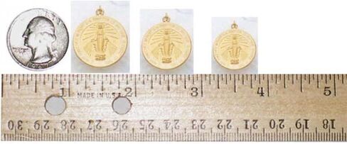 PicturesOnGold.com Miraculous Medal - 14k Yellow Gold- 1/2 Inch X 1/2 Inch in Saudi Arabia
