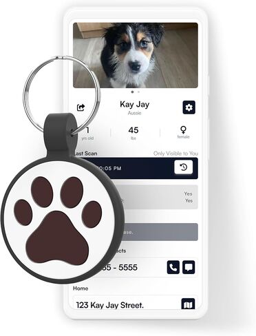 Scout Tag's Rocket Tag | QR Code Silicone Pet ID Dog/Cat Tag. Instant Profile Access and Scan Alerts, Small in Saudi Arabia