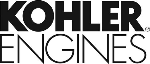 Kohler 19-599-03-S Pivot Rocker Genuine Original Equipment Manufacturer (OEM) Part in Saudi Arabia