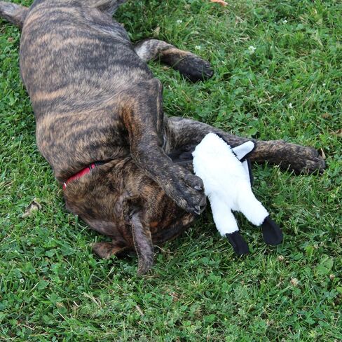 SPOT Mini Skinneeez | Stuffless Dog Toy with Squeaker For All Dogs | Tug-Of-War Toy For Small and Large Breeds | 15" | Arctic Animal Assorted Design | By Ethical Pet in Saudi Arabia