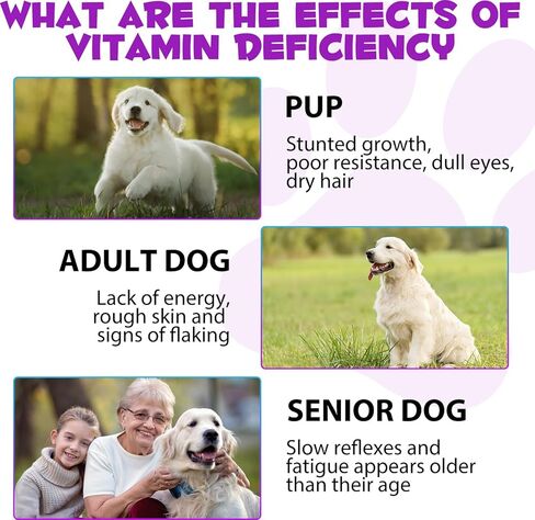 سائل متعدد الفيتامينات 15 في 1 للكلاب - مكمل التوت البري للكلاب، مكمل الجلوكوزامين للكلاب، فيتامينات للكلاب + فيتامينات ج، د، ب1-12، 15 في 1 مكملات صحية للعظام والمفاصل، والجلد والمعطف، والجهاز المناعي in Kuwait