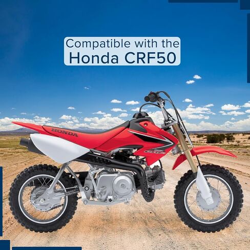 AlveyTech 12 بوصة (3.00-12) مجموعة العجلات الخلفية الكاملة للدراجات الترابية 70cc-125cc (الإصدار 1) - إطار/أنبوب مطاطي متين مع محمل ومحور، بديل لأجزاء الدراجة الترابية Coolster SSR & Honda XR50/CRF50 in Saudi Arabia