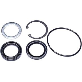 Steering Gear Pitman Shaft Seal Kit 1PC Compatible with Bravada 1996-1999 Compatible with Pontiac Firebird 1988-1992 Compatible with Pontiac Tempest 1990-1991 Compatible with Dodge B1500 1996-1998 in Kuwait