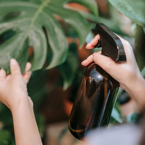 Wedama Amber Glass Spray Bottles, 16 oz Glass Spray Bottles for Cleaning Solutions and Essential Oils, Refillable Empty Spray Bottle with Adjustable Nozzles for Alcohol, Plant and Hair Care (1 Pack) in Kuwait