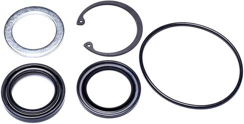 Steering Gear Pitman Shaft Seal Kit 1PC Compatible with Bravada 1996-1999 Compatible with Pontiac Firebird 1988-1992 Compatible with Pontiac Tempest 1990-1991 Compatible with Dodge B1500 1996-1998 in Kuwait