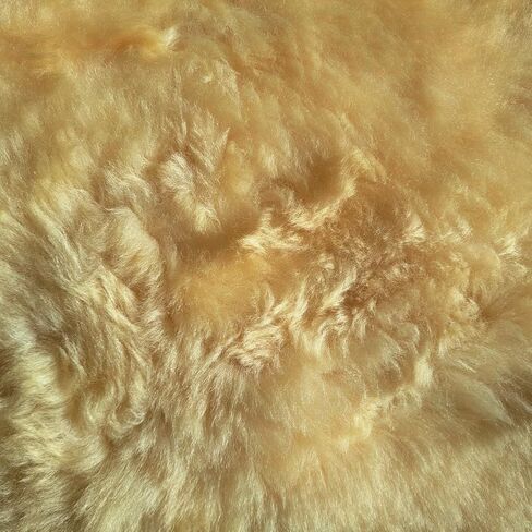 وسادة جلد الغنم الطبية لشرح البشرة والسرير الحساسة | سجادة الحملان | الصوف الطبيعي | فرو حقيقي pelt | دافئ وناعم للغاية | الإجهاد والألم تخفيف | قابلة للغسل | الحجم - منتظم in Kuwait