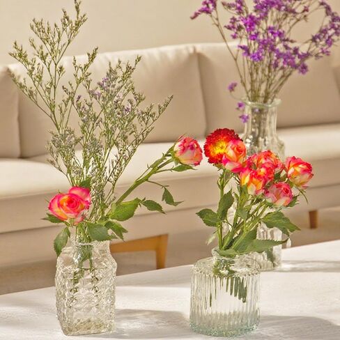 16pcs الزجاج بود إناء ، إناء صغير للزهور ، مزهريات زهرة واضحة للقطاعات المركزية ، مزهرية مصغرة في الزواج من زفاف المنزل الزخرفة in Kuwait