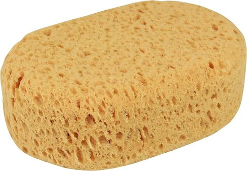 Natura 19630 Car Sponge 18 x 12 x 6.5 cm in Saudi Arabia