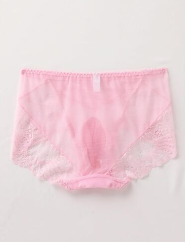 Abafip Men Lace Lace Intonderal Sissy Banties Mesh Mesh Boxer Boxer See من خلال السراويل الداخلية في الحقيبة in Kuwait